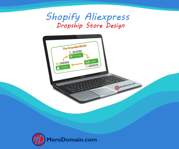 Shopify Aliexpress Dropship Store Design