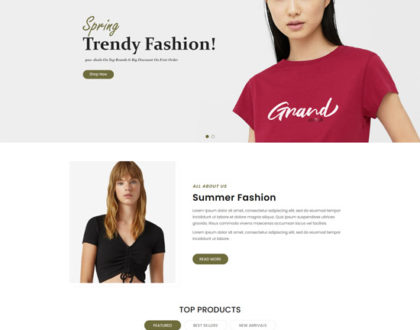 Aveda fashion and accessories eCommerce Website Design Template